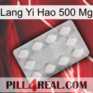 Lang Yi Hao 500 Mg 16